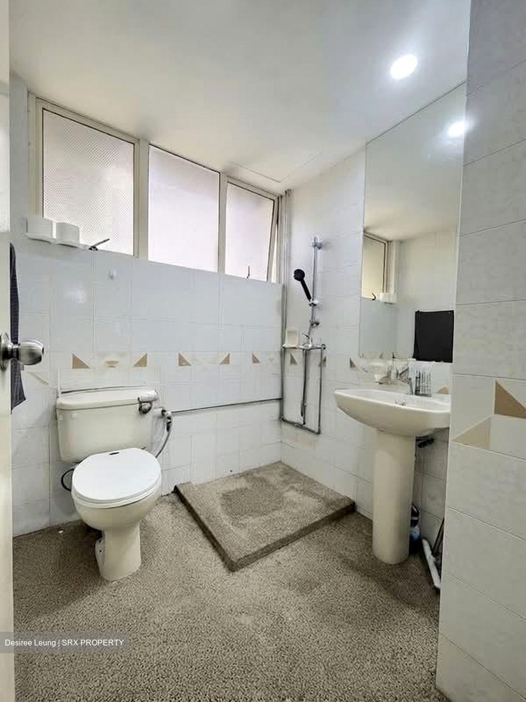 Bullion Park (D26), Condominium #603511441